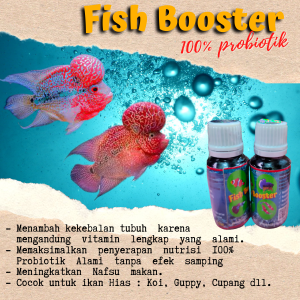 Fish Booster Vitamin Ikan Hias (menambah kekebalan tubuh)