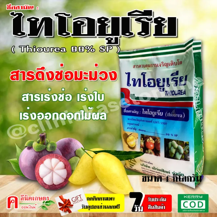 ไทโอยูเรีย ปุ๋ยเคมี เร่งดอกมะม่วง มะนาว มังคุด