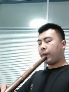 【Ship in 24H】【现货】Learned the flute instrument bamboo Xiao instrument 紫竹初学洞箫乐器G调F调六孔八孔短萧长萧笛g调f调6孔8孔竹萧乐器
