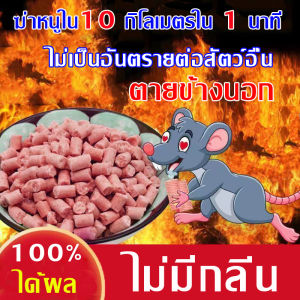 ได้ผล 100% ยาเบื่อหนูตายแห้ง ยาเบื่อหนู กําจัดหนู ยาฆ่าหนู ยาเบื่อหนูชนิดรุนแรง ไม่เป็นอันตรายต่อสัตว์อื่น ไม่มีกลิ่น ยาเบื่อ หนูแห้ง สเปรย์ไล่หนู ไล่หนูถาวร ยาไล่หนู เหยื่อกําจัดหนู