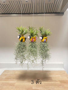 โมบายผึ้งใส่เคราฤาษีทิลแลนเซน ตุ็กตาเซรามิกคละสี สำหรับตกแต่งสวน มอสสเปน ไม้ฟอกอากาศกรองฝุ่น ม่านบังแดด Spanish Moss