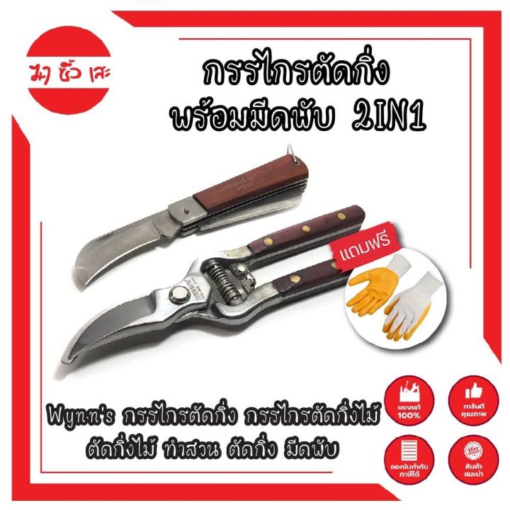 6 อันดับ กรรไกรตัดกิ่งและเลื่อยพับ ยี่ห้อไหนดี? ตัวช่วยสำคัญสำหรับสวนสวย (อัปเดต 2025)