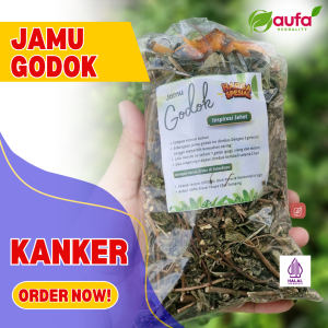 JAMU KANKER PALING AMPUH / JAMU GODOK HERBAL MENGOBATI SEL KANKER SAMPAI AKAR