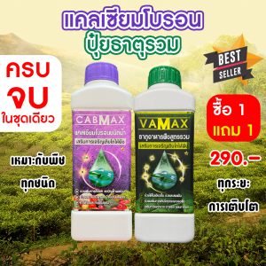 ( 1แถม1 ) CABMAX แคลเซียมและโบรอนเข้มข้น + VAMAX ธาตุอาหารรวมเข้มข้น 2 ลิตร