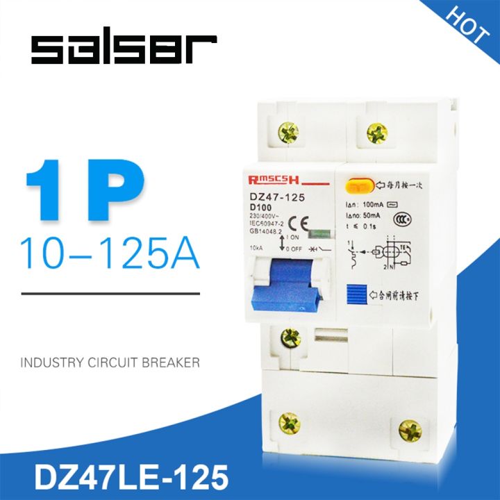 DZ47LE100 1P N Electric Leakage Mini Circuit Breaker Power Air Switch Household Protect MCB
