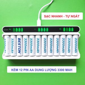 Bộ 12 pin AA 3300 mAh kèm sạc BESTON C9025L chuyên dùng cho micro không dây đồng hồ treo tường máy ảnh đồ chơi trẻ em