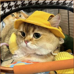 หมวกกีฬา ป้องกันแสงแดด หมวกกลางแจ้ง ที่บังแดด โดปามีน ฤดูร้อน สะดวกสบายและระบายอากาศได้ดี