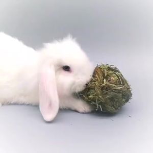 Natural Timothy Big Hay Ball Pet Chew Toys Molar Toy for Rabbit hamster guinea pigs