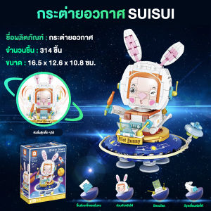 ของเล่นบล็อคก่อสร้าง การ์ตูน DIY เกมสมอง ของเล่นเด็ก ชุดของขวัญเด็กผู้หญิง