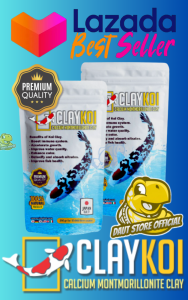 CLAY KOI Premium 800 Gram (PUTIH)