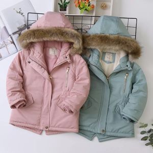 Jaket Anak Bulu Anak Perempuan Jeans import Musim DinginTebal