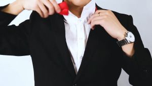 Garterized Bowtie Men Classic Satin Silk for Wedding Stretchable Bow Tie Formal Attire Fashion 1PC