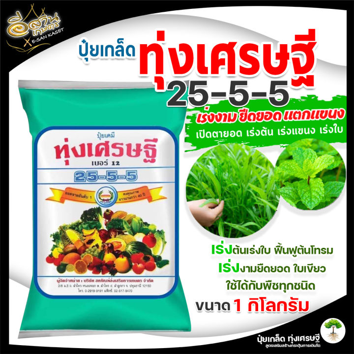 10 อันดับ ปุ๋ยเกล็ดทุ่งเศรษฐี ยี่ห้อไหนดี? เร่งใบเขียว ต้นงาม อัปเดตปี 2026