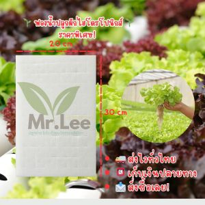 Mr.Lee Hydroponic ฟองน้ำปลูกผักไฮโดรโปนิกส์เกรดพรีเมียม 96 ช่อง  เนื้อละเอียด ซึมน้ำดี ปลูกง่าย โตไว เหมาะกับผักสลัดทุกชนิด  พร้อมส่ง 20 แผ่น  แบบไม่มีขอบ