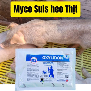CHỮA MYCO SUIS HEO THỊT M2 OXYLIDON+ QUINOGOLD LA+PHỤC HỒI SIÊU TỐC