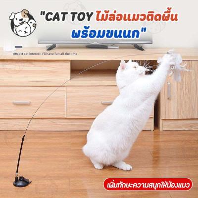 ของเล่นแมว ไม้ตกแมวติดกระจก ไม้ตกแมวสีขาวขนนก ไม้ตกแมว ไม้แหย่แมว