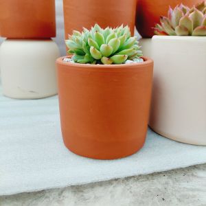 Chậu đất nung Bình Dương - Trụ các kích thước từ 10cm đến 12cm