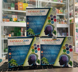 Ginko Citicolin 240 Hoạt huyết dưỡng não tăng cường lưu thông máu lên não cải thiện trí nhớ - Hộp 100 viên