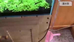 Aquarium Auto ATO Automatic Top Off System Dual Sensor Water Filler water Level Controller Fish Tank Auto Aqua add Water Pump well