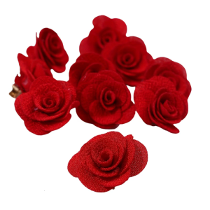 Hoa Hồng kẹp tóc 10Pcs giữ vững Nonslip Thiết Kế Barrettes Tóc Hình Phụ Kiện Cho Phụ Nữ Thanh Thiếu Niên Chủ Đề Tổ Chức Sự Kiện