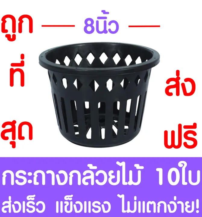 กระถางพลาสติกดำสำหรับกล้วยไม้ ขนาด 8 นิ้ว แพ็ค 10 ใบ