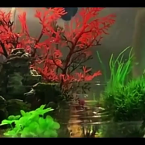 Fishtanks Plastic Plant with Cave Rock 7Pieces Aquariums Decoration Set for Home and Office Fishtanks Display Accessory