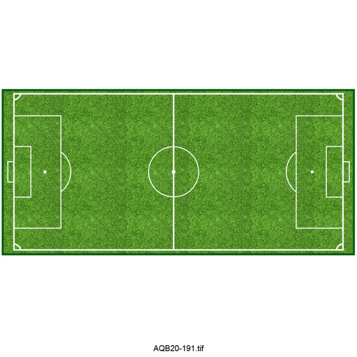 Tranh 3D Koifish, sân bóng ấn tượng, sáng tạo, aqb20-191, nhiều kích thước