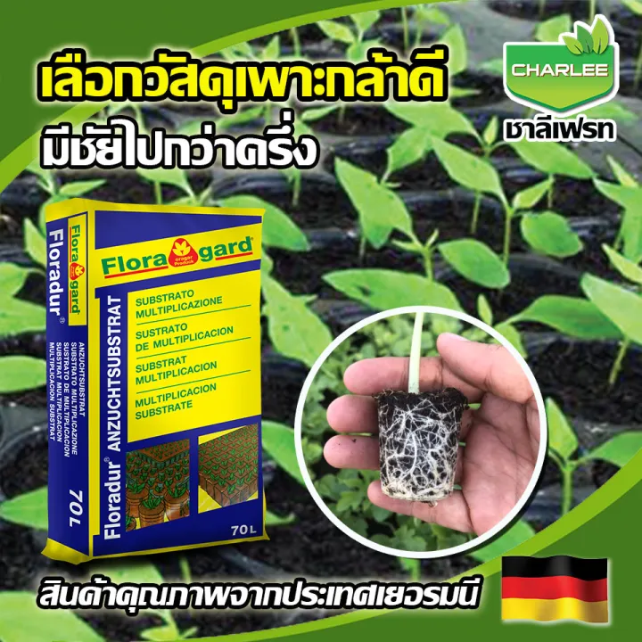 พีทมอส TRAY SUBSTRATE 70 ลิตร สำหรับปลูกในถาด