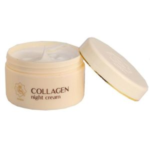 VIVA COLLAGEN NIGHT CREAM 22 GR / Krim Mlm Collagen