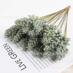 ARTIFICIAL JAPANESE SKIMMIA ECER PER TANGKAI BUNGA ARTIFICIAL BUNGA TANGKAI PALSU BUNGA PLASTIK BUATAN