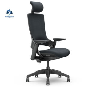 Local Healthy Story UE MC-Mellet Ergonomic Mesh Office Chair