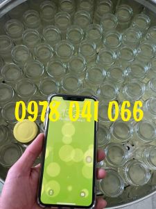 Nồi trưng yến chạy điện 3 tầng đường kính 47cm