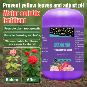Ferrous Sulfate Fertilizer for Acid-Loving Plants Water Soluble Iron Supplement Soil pH Balancer Prevents Yellow Leaves Chlorosis Treatment Fast Absorption Potted Plant Care