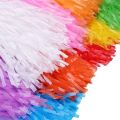 POM-POM CHEERLEADER. 