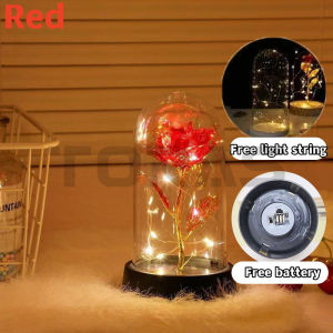 TORAS Eternal Flower Glass Cover Romantic Gift LED Light Rose Teachers Day Gift