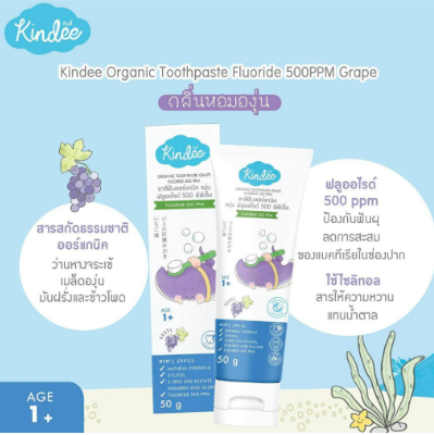 ยาสีฟัน Kindee ปลอดภัยไหม? คู่มือใช้สำหรับทารกที่กลืนยาสีฟันและชอบกัดแปรงช่วงฟันขึ้น