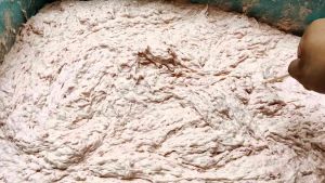 umpan galatama lele terbaik dan terkece Otot racing 01 produk (B.C.F) sudah teruji ke ampuhan nya 😎