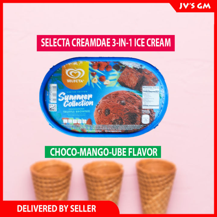 Selecta Summer Collection Truffle Brownie Ice Cream, 750ml Tub Lazada PH