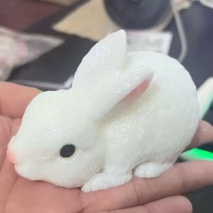 ZSDN MALL Super Soft Silicone Bunny Squishy Toy Hand Relax Rabbit Fidget for Kids Adult