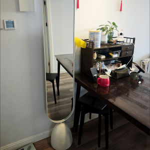 Stand Mirror Dressing Mirror Standing Mirror Full Length Mirror With Storage Light Luxury Clothing Convenient and Adjustable