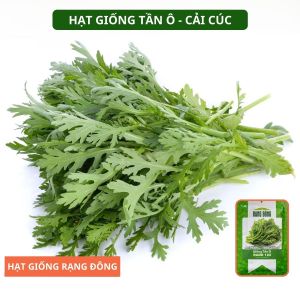 Hạt giống Tần Ô RADO 123 20g(Khoảng 3500 hạt) Nảy mầm tốt Ít sâu bệnh | Hạt giống Rạng Đông