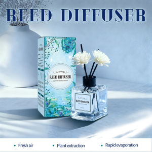 3-Pack Diffuser Refill Bundle - Value Pack for Reed Diffusers Water-Based Formula Long-Lasting Easily Refresh Your Space
