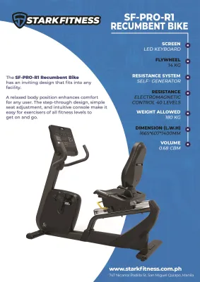 Stark Fitness Recumbent Bike Professional Series