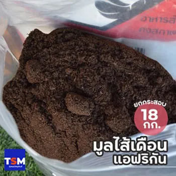 มูลไส้เดือนแอฟริกัน 18 กก. สำหรับดินปลูกแคคตัส
