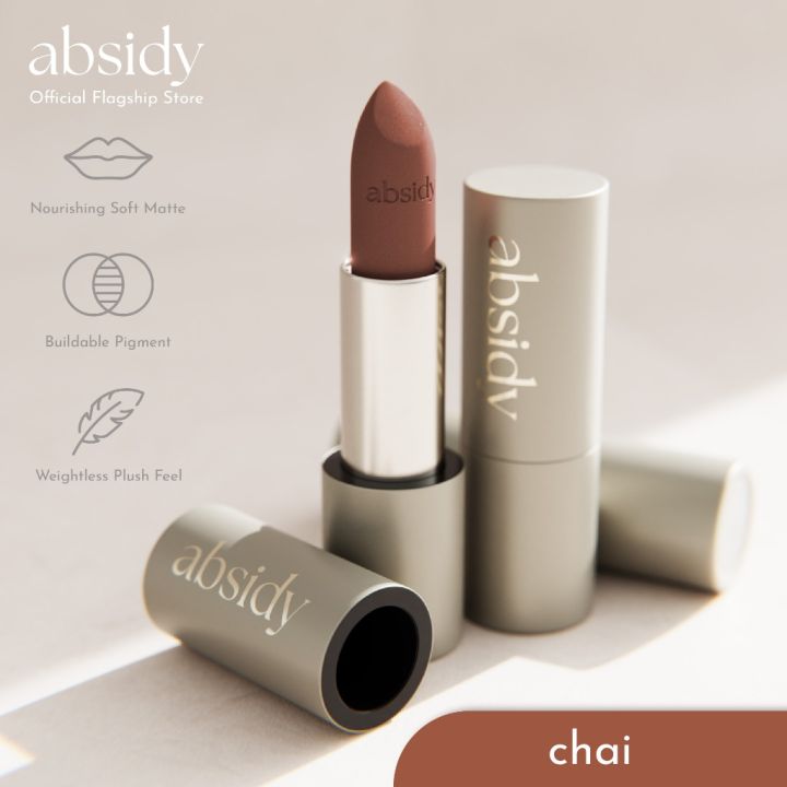 Absidy Cashmere Kiss Matte Lipstick in Chai | Lazada PH