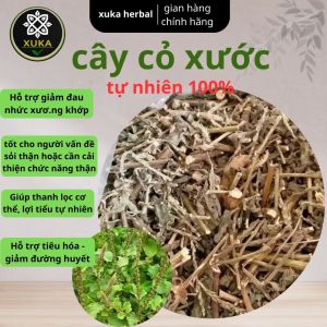 cây cỏ xước khô sạch NGHỆ AN giúp đánh bay sỏi thận tiểu đường mỡ máu cao ổn định kinh nguyệt