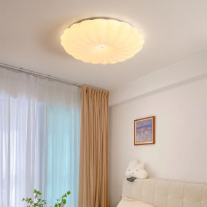 50cm96w modern minimalist petal shell creative LED ceiling light room balcony restaurant stepless remote control light