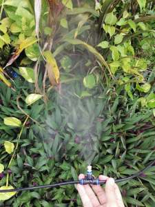 ปั้มน้ำพร้อม อะแดป เตอร์ 24V รุ่นเสียงเงียบ ฟรีข้อต่อน้ำเข้า-ออก พ่นแอลกอฮอล์ น้ำยาฆ่าเชื้อ ได้ ใช้ในโรงเพาะเห็ด