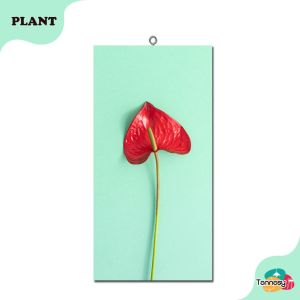 TENNESY HIASAN DINDING WALL DECOR DAUN TANAMAN 15x30CM PAJANGAN KAYU POSTER DEKORASI DINDING KAMAR TIDUR RUMAH LEAVES PLANTS