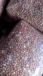 MURAH ( 1KG KACANG SUDAN )KUAPS BUAT BUMBU ATU BISA JUGA BUAT CEMILAN